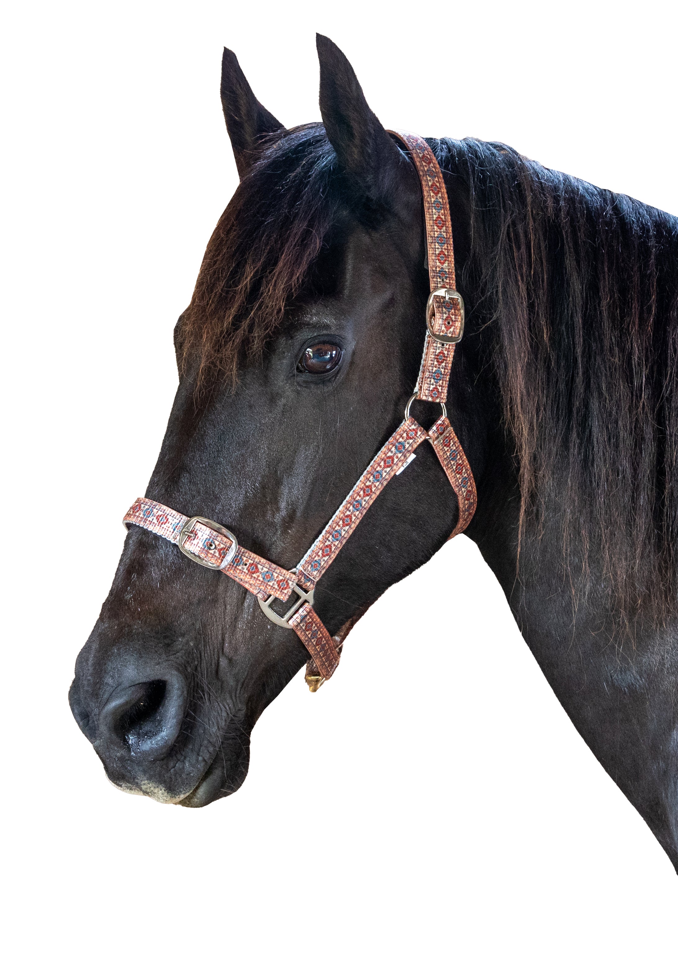 Prima Plus Navajo Web Halter One / Cob