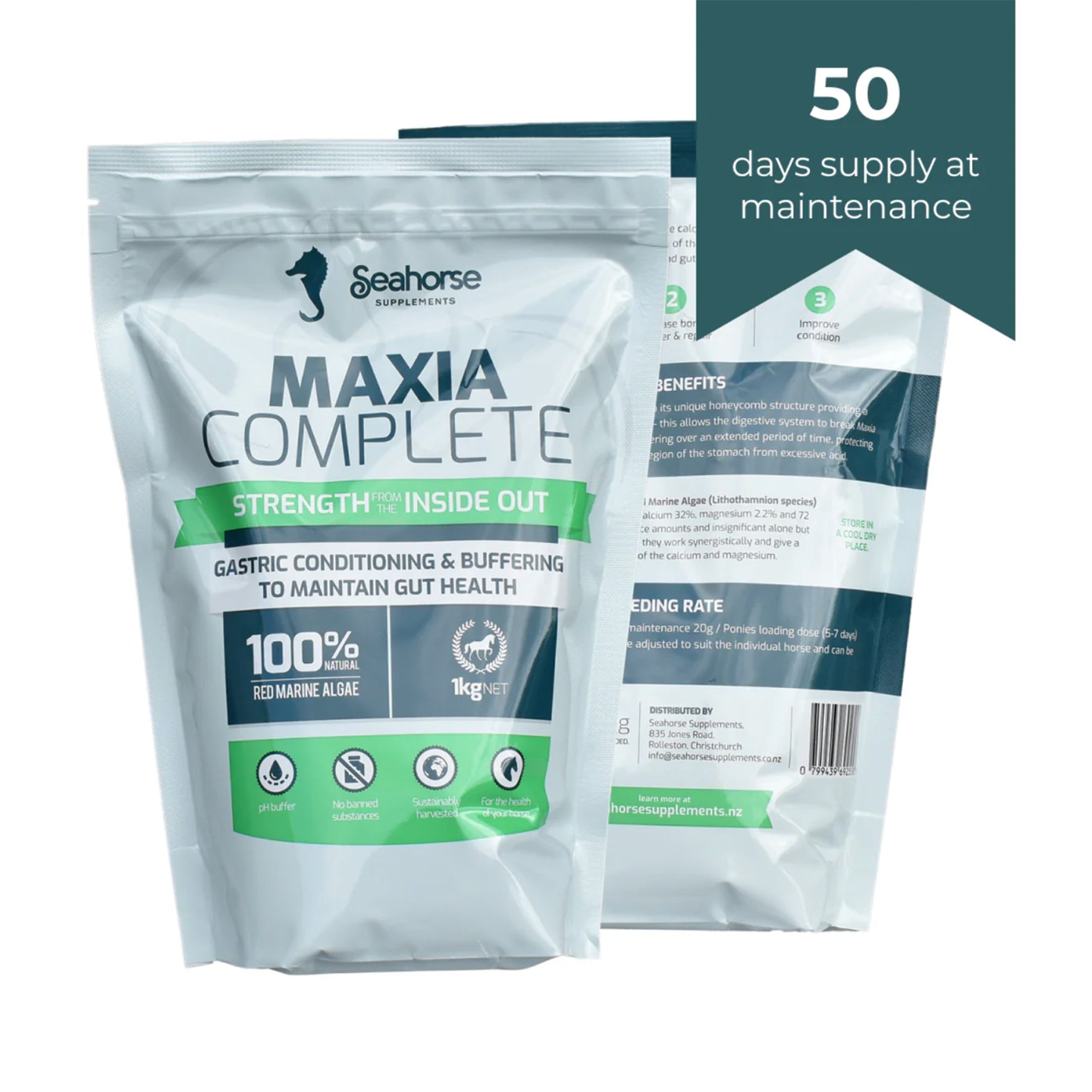 Seahorse Maxia Complete