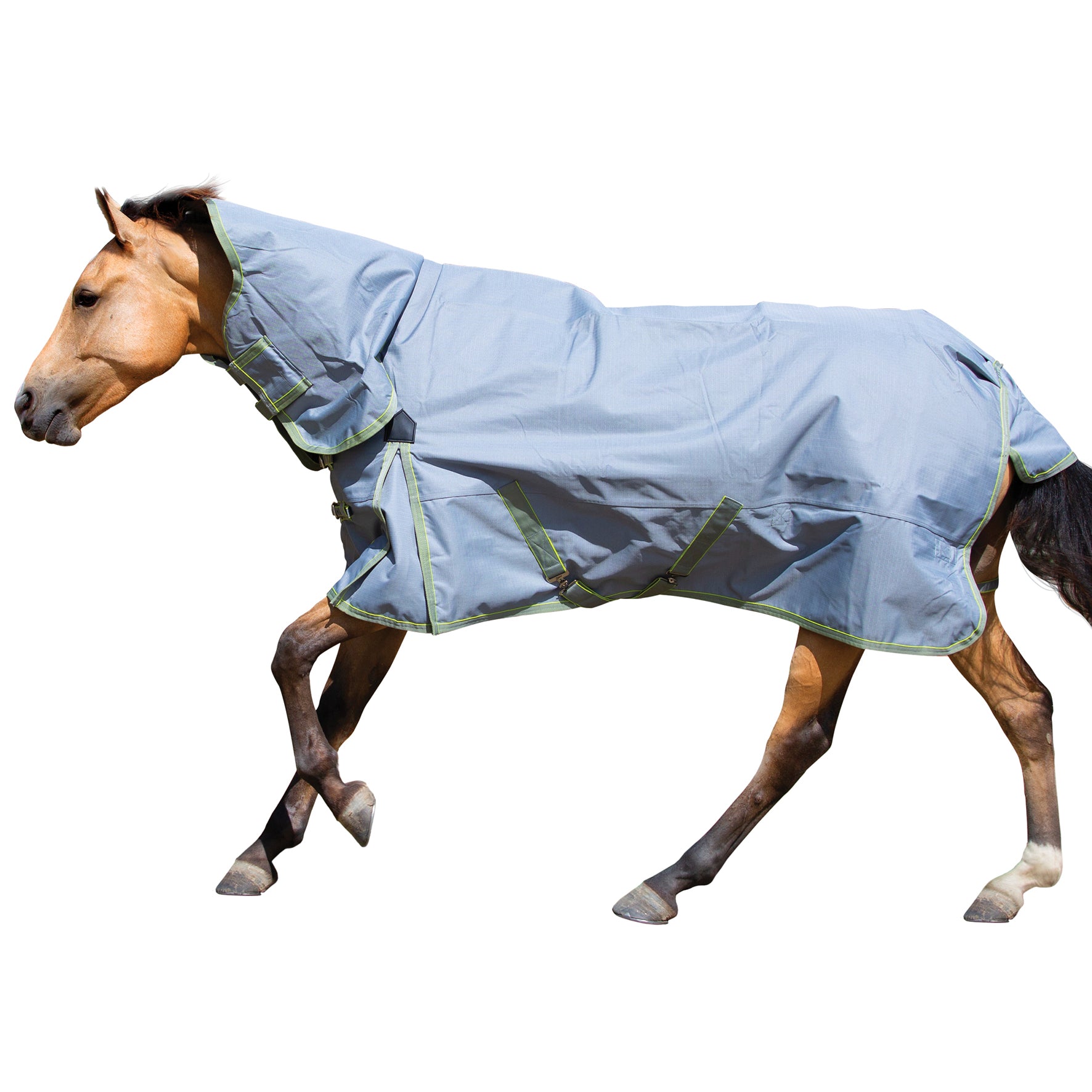 Shires 1200 Equinox Combo One / 3