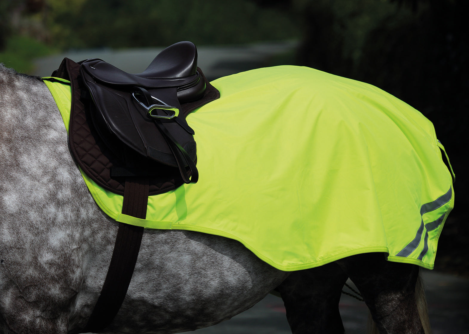 Shires Equiflector Mesh Exercise Sheet One / 48