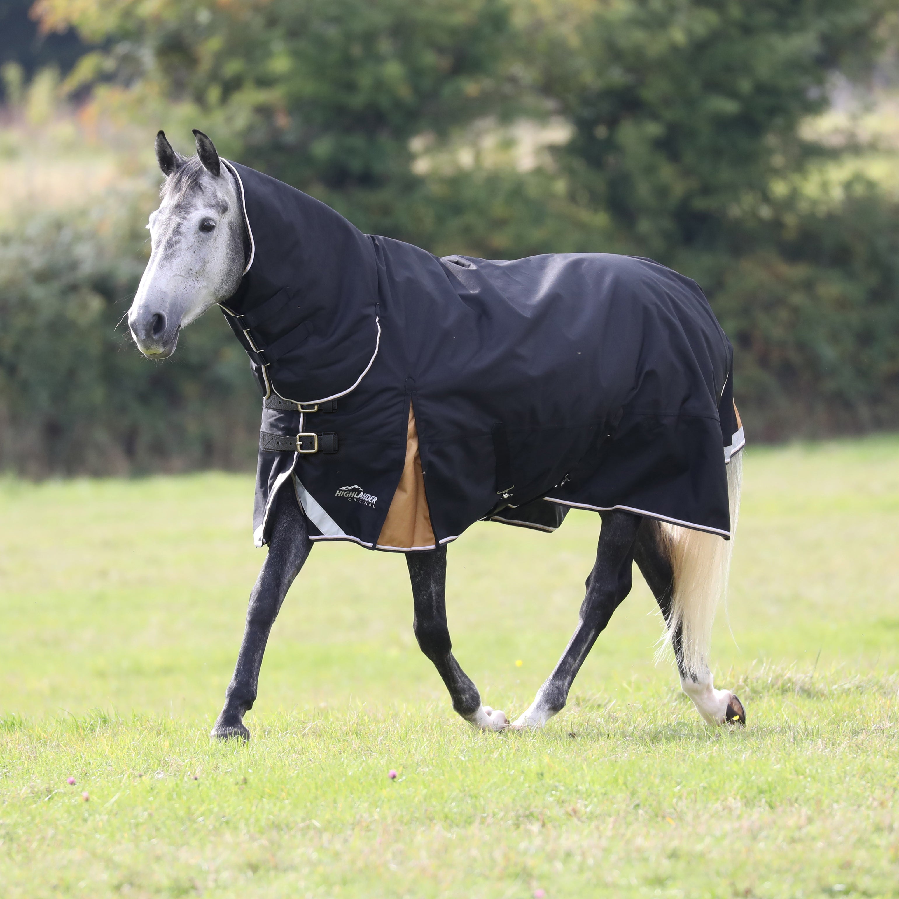 Shires Highlander Plus Combo 200g One / 3.6