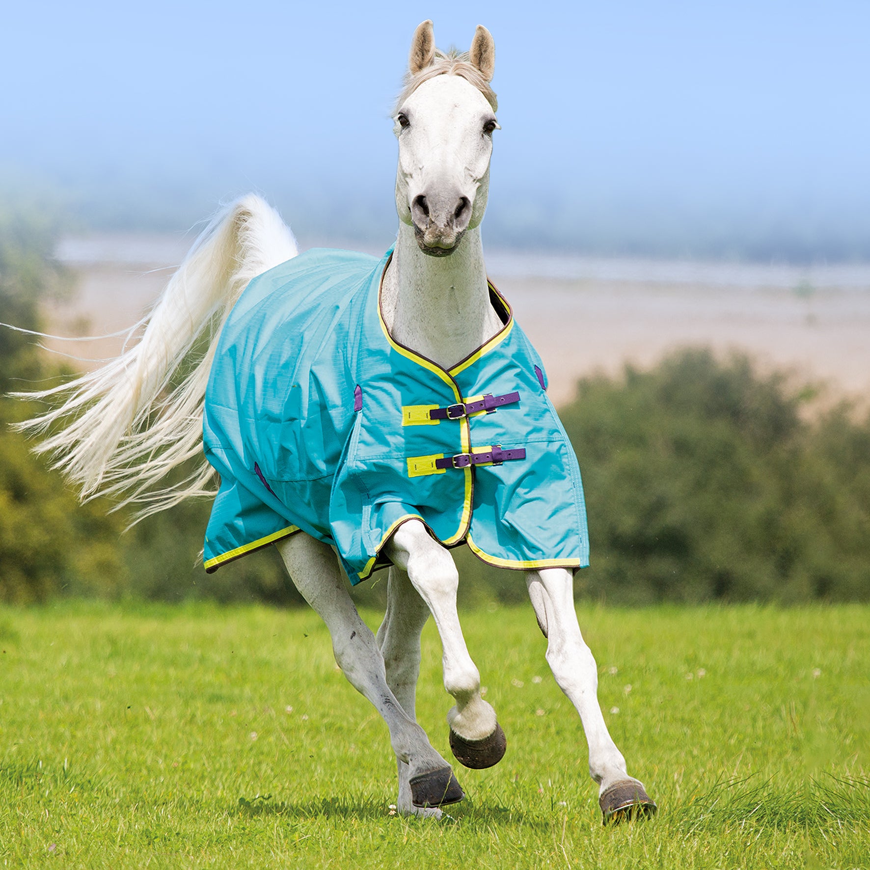 Shires StormBreaker Summer Rug One / 3.3