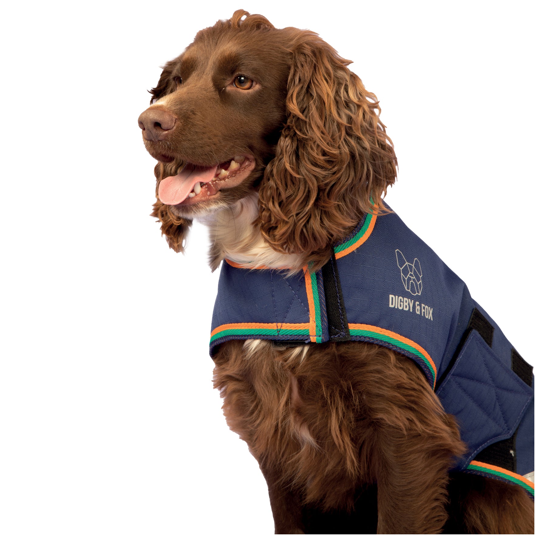 Shires Waterproof Dog Coat Navy / XX Large