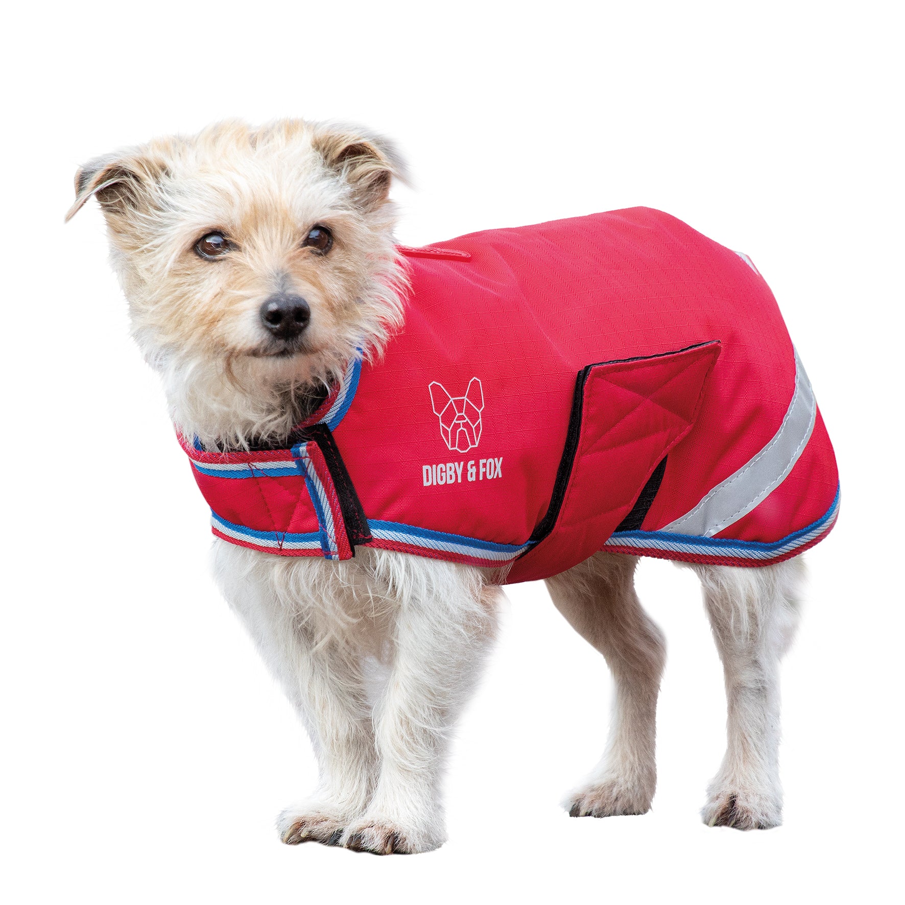 Shires Waterproof Dog Coat Navy / XX Large