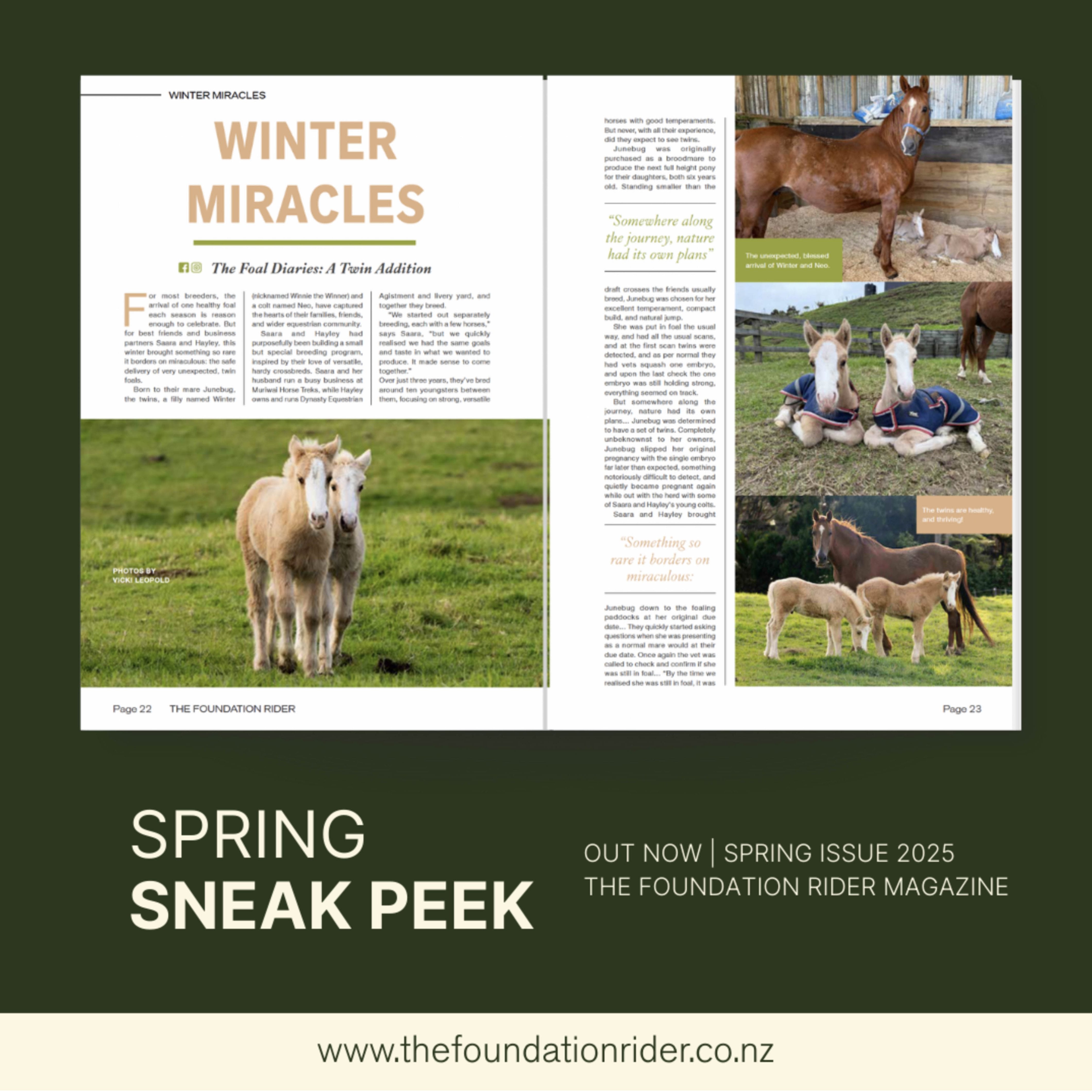 The Foundation Rider Magazine Spring