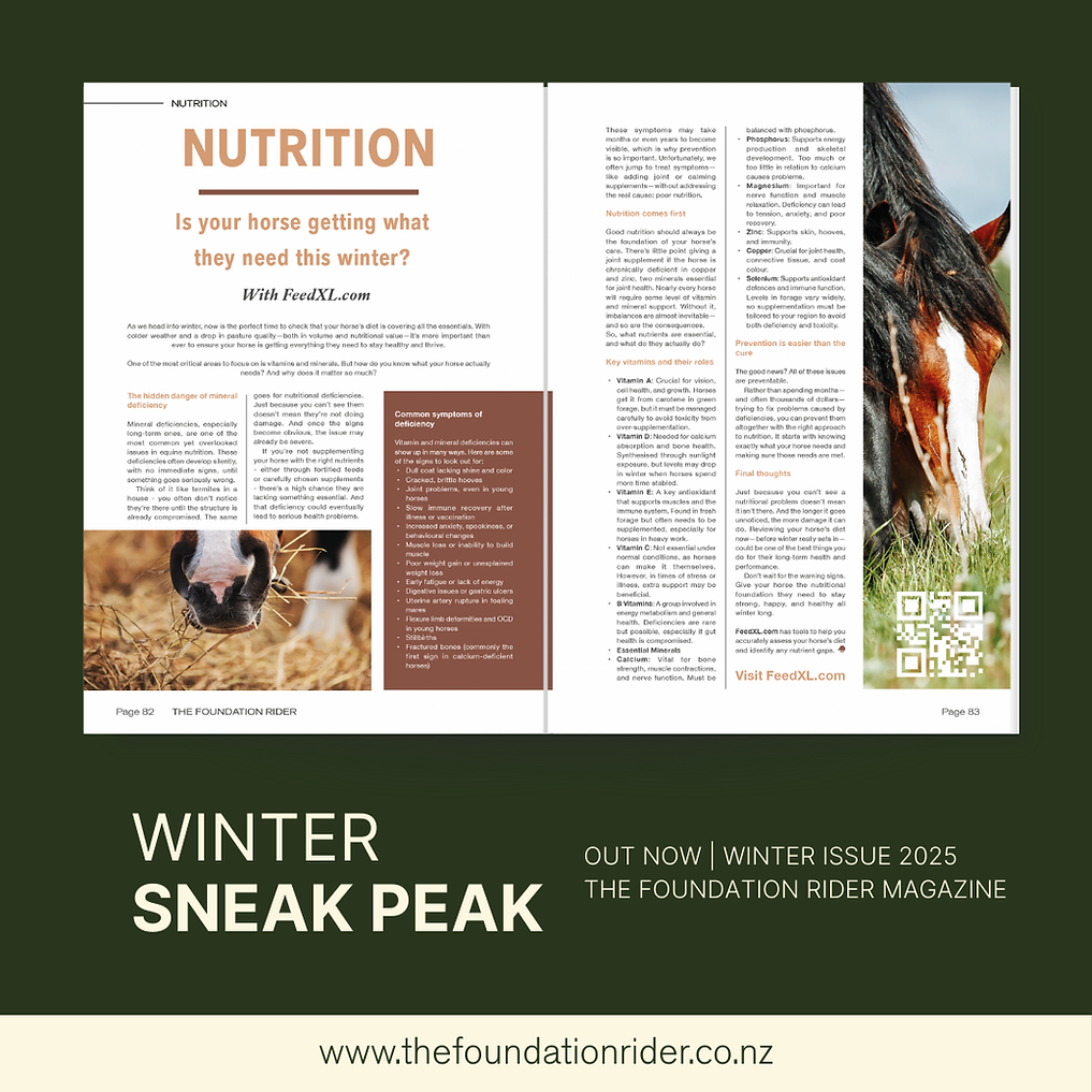 The Foundation Rider Magazine Winter