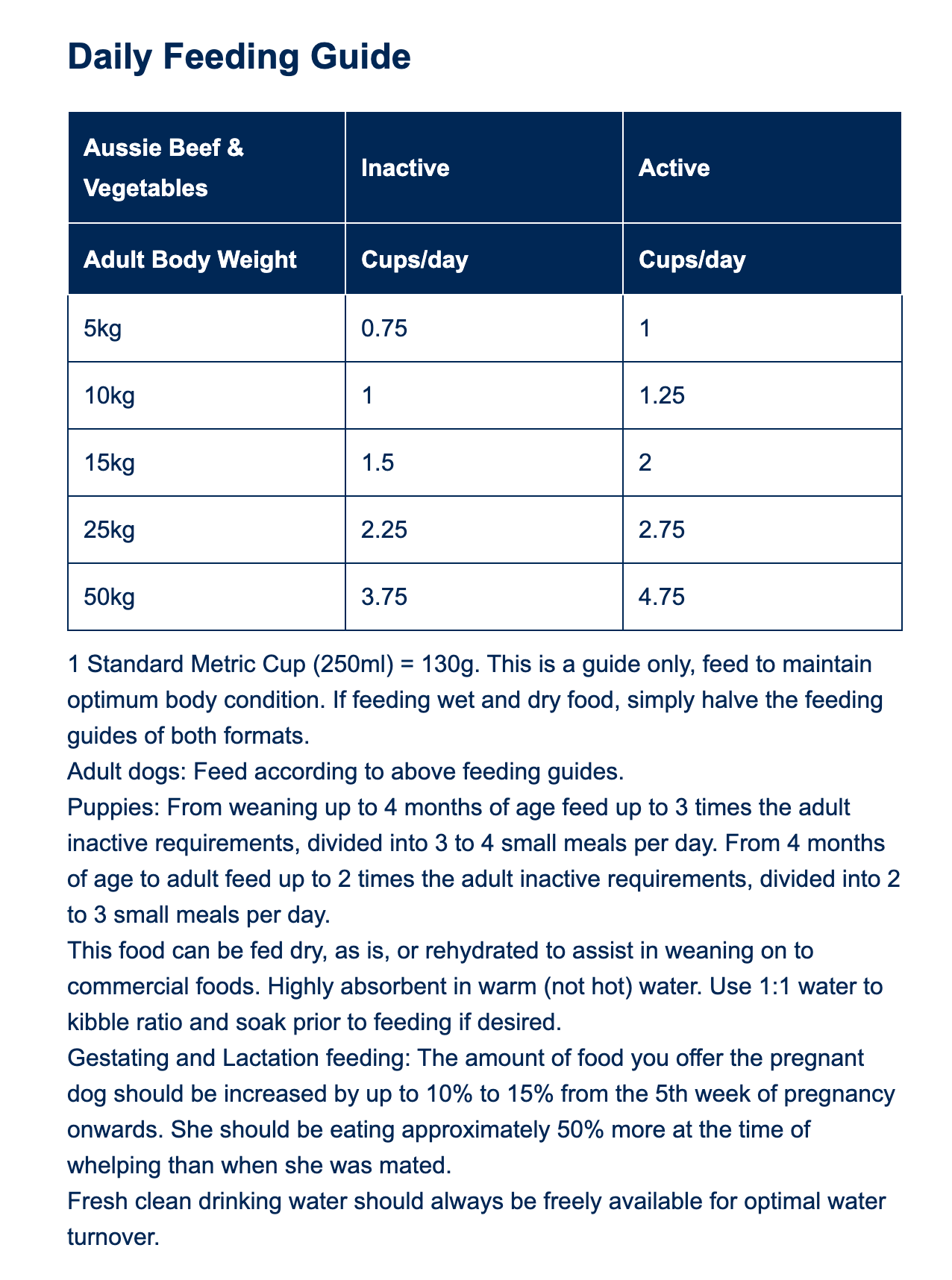 True Blue Family Dog (20kg)