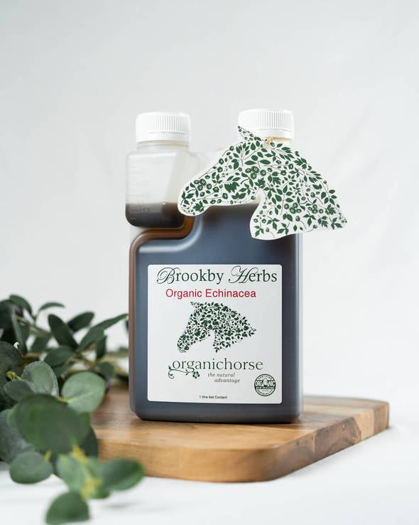 Brookby Herbs Echinacea Root Extract One / 1l