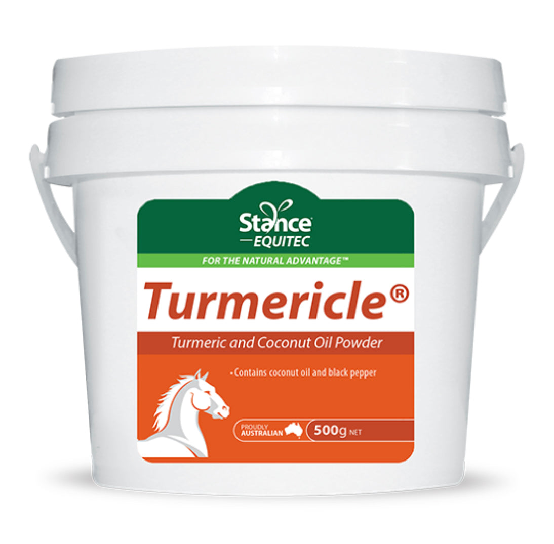 AHD Turmericle One / 2kg