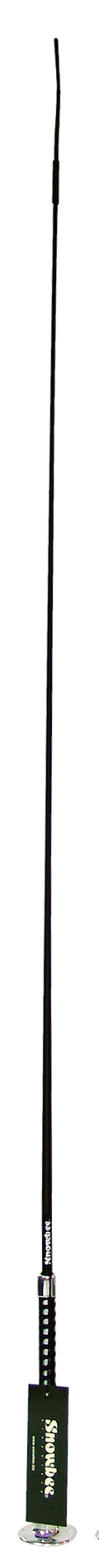 Dressage Whip w/Silver Cap Silver / 100cm