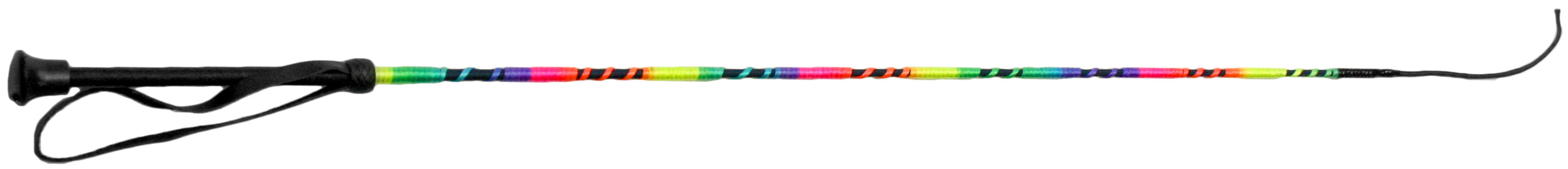 Dressage Whip Rainbow
