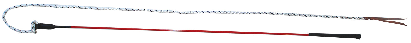 Training Whip with Leather Popper