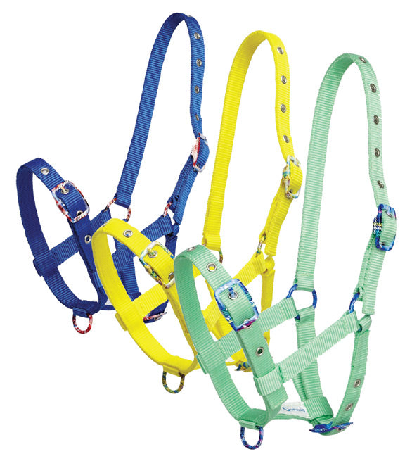 Zilco Foal Halter Black / All