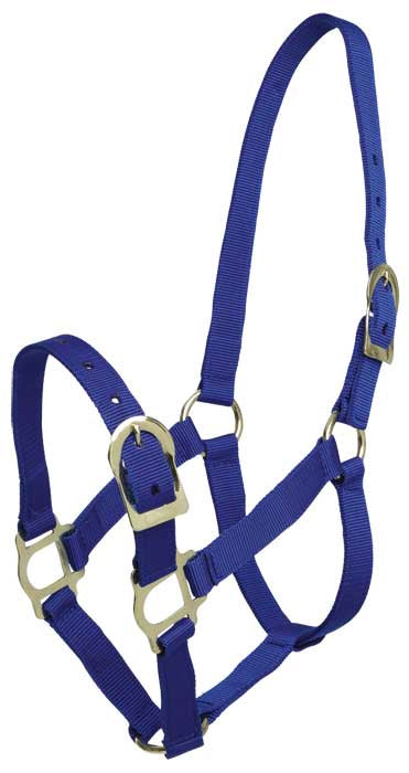 Zilco PP Web Halter Navy / Small Pony