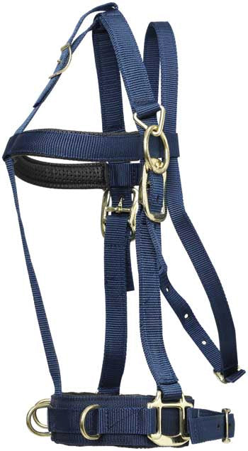 Zilco Deluxe Lunge Halter (Cob/Full)