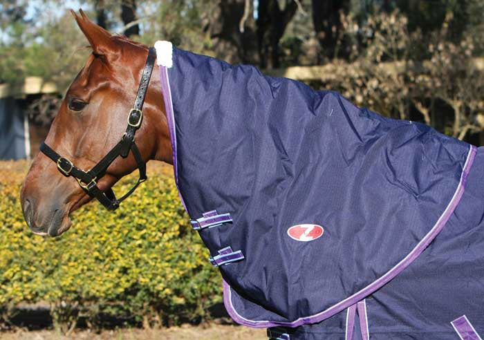 Zilco Explorer Neck Rug One / Large