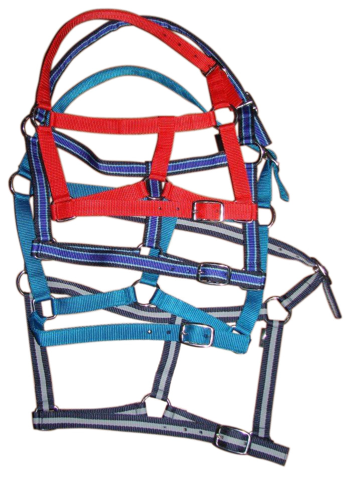CCI Economy Halter (Pony Asst)
