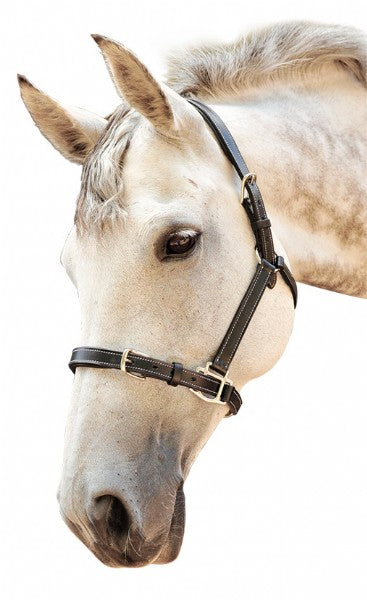 Enzo Stitched Leather Halter (Cob Blk)%