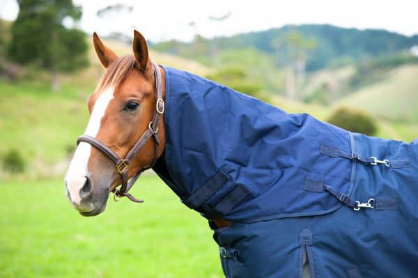 Kiwi 600 Neck Rug 100g%