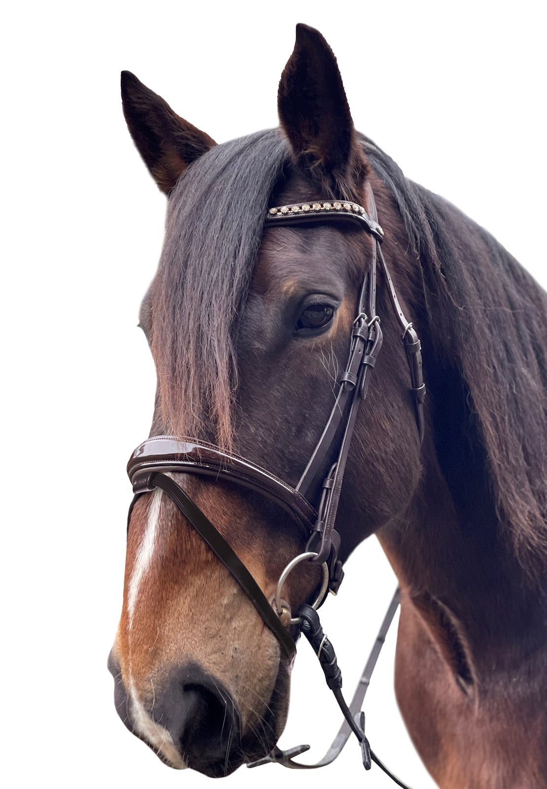 David Paul Milton Bridle