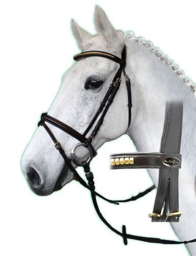 Santa Cruz Clincher Bridle (Full Blk)%