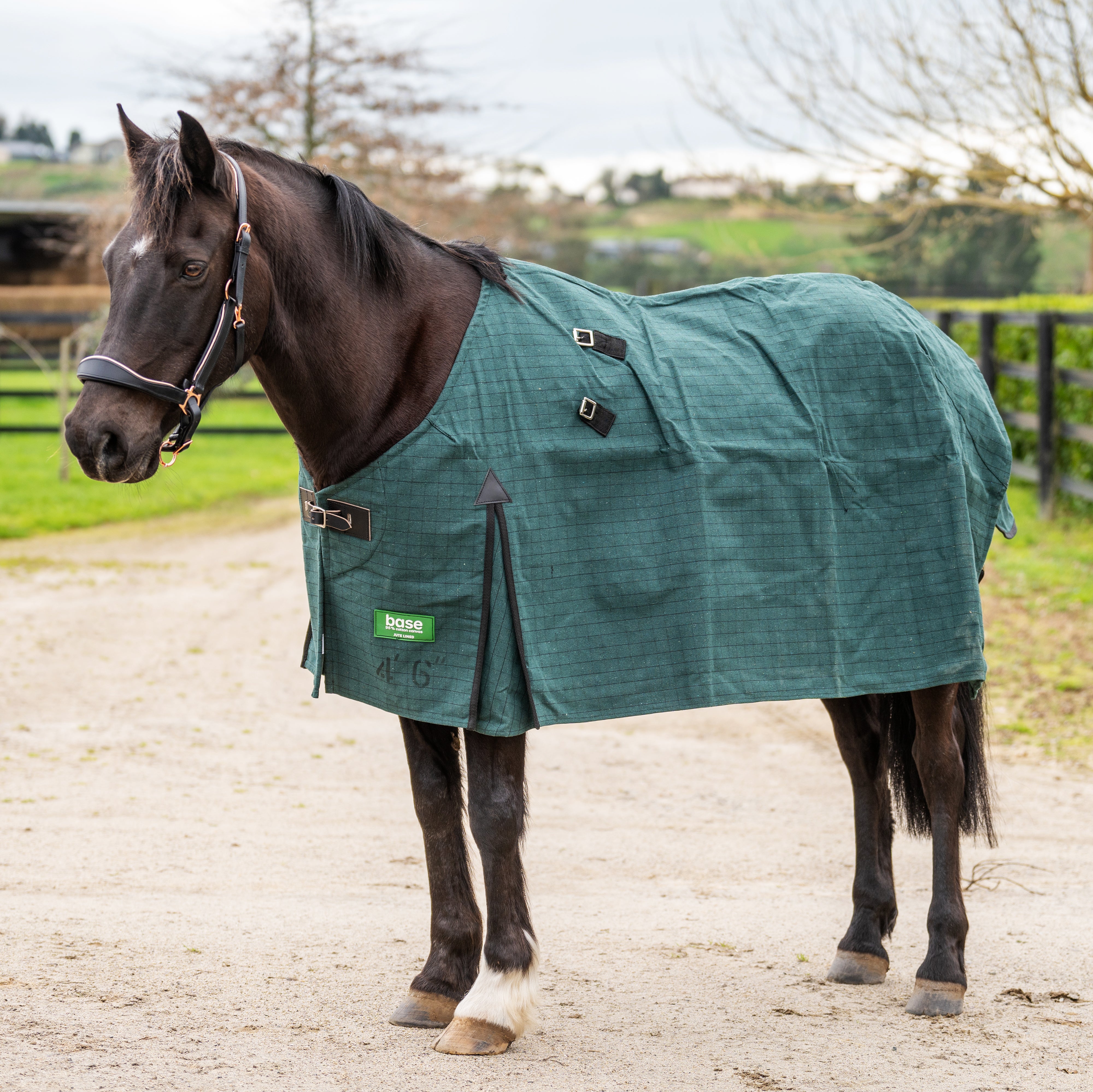 15oz Base Blanket Lined Canvas Rug