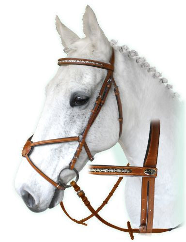 Santa Cruz Grackle Bridle%