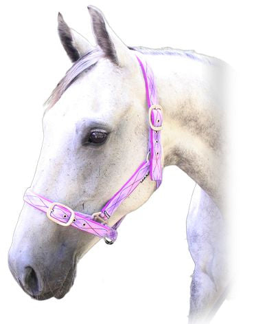 Prima Cattle Halter