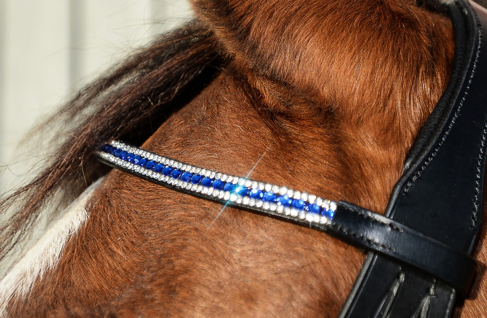 Enzo Windsor Show Bridle%