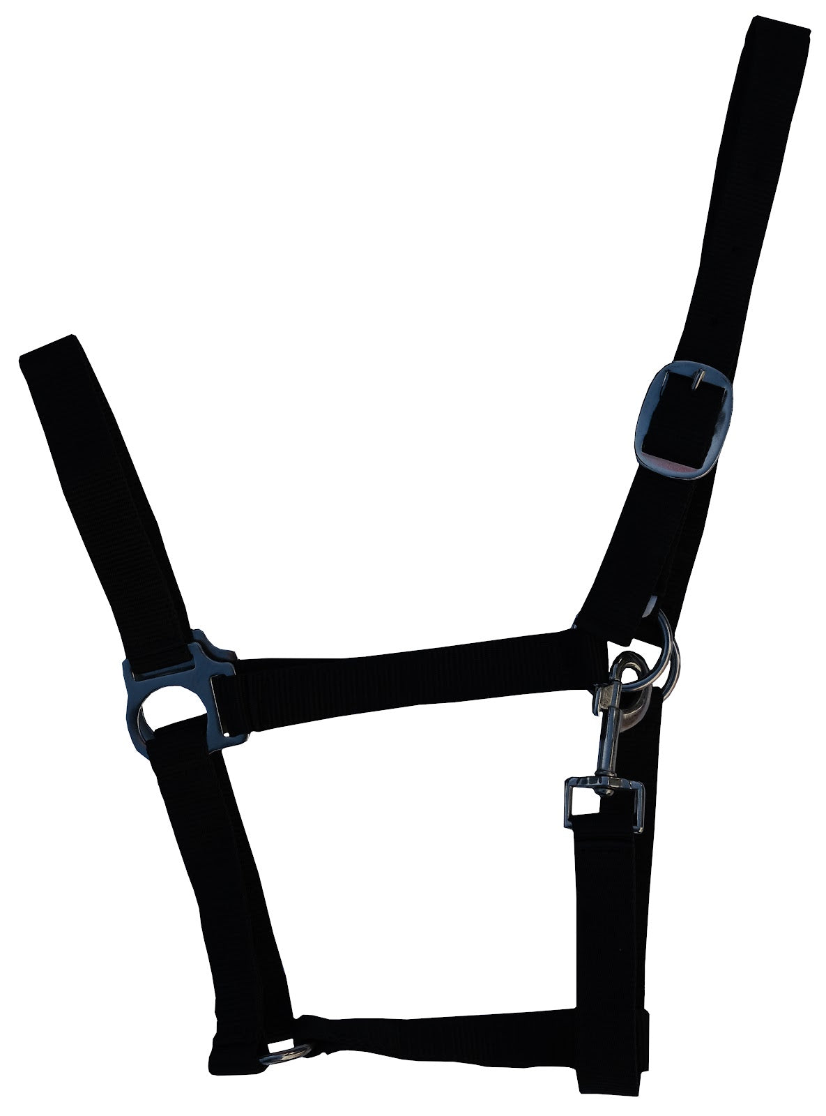 Clearance PP Halter (Asst)