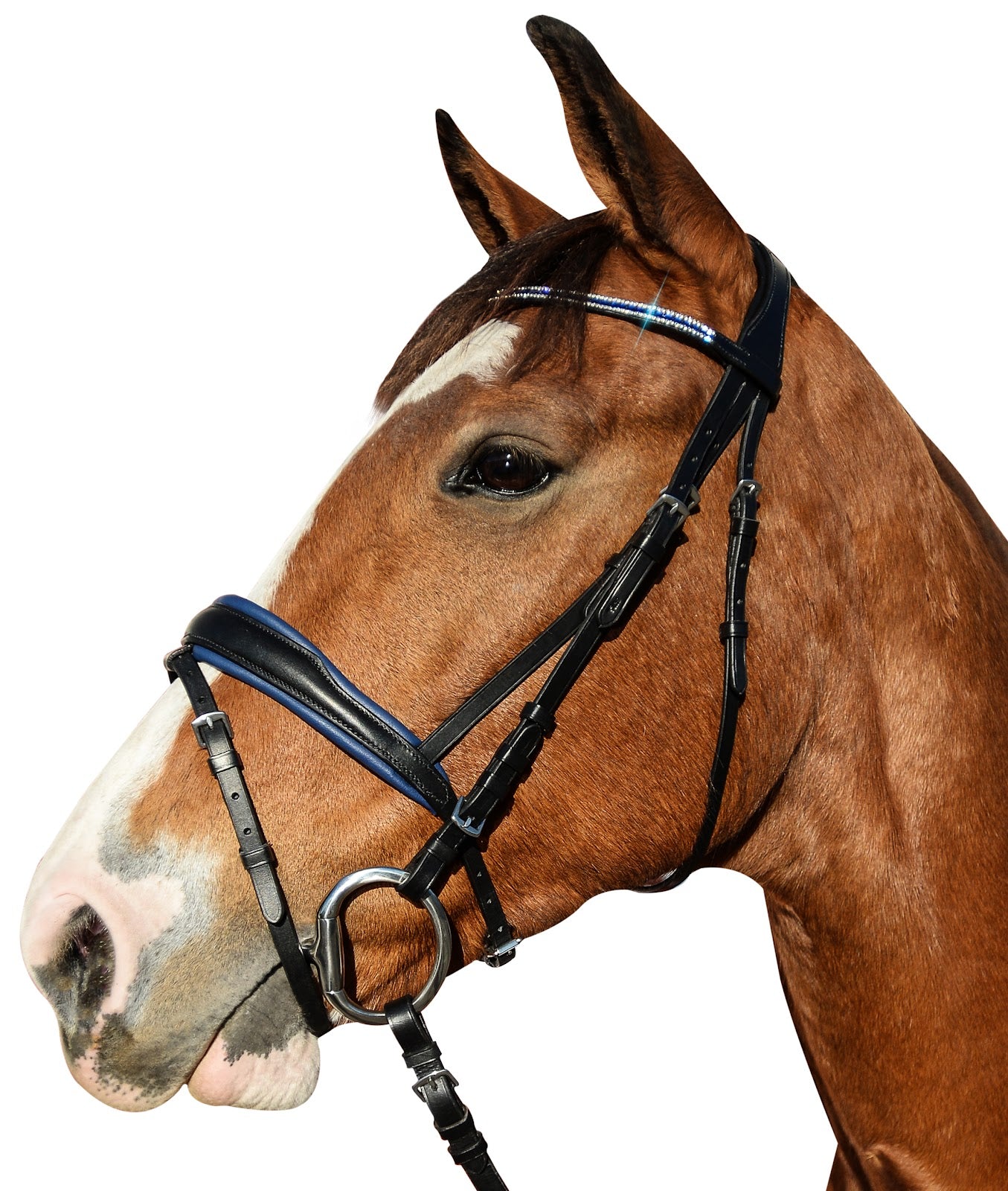 Enzo Windsor Show Bridle%