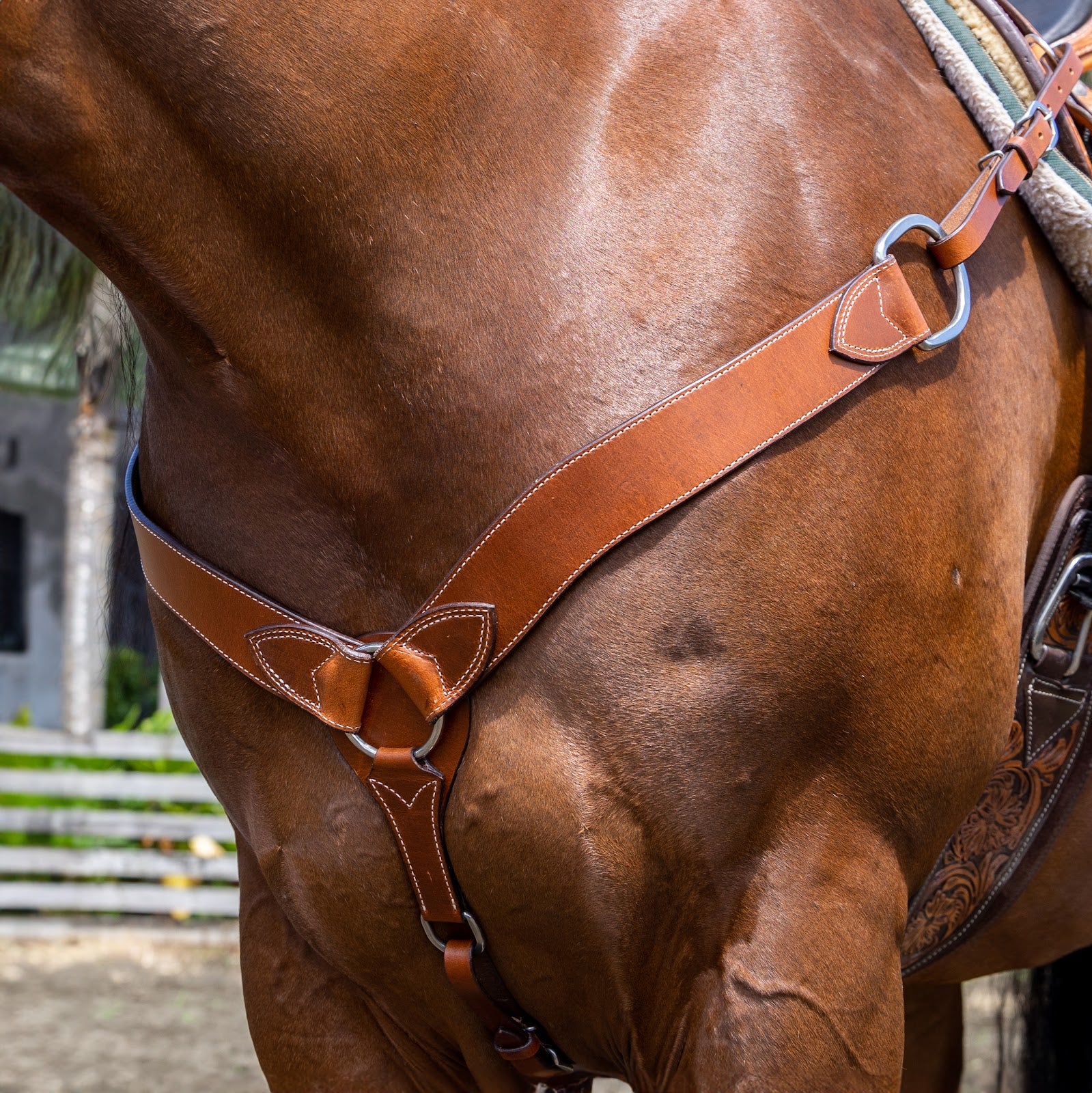 Origin WS 1 Headstall & Breastplate
