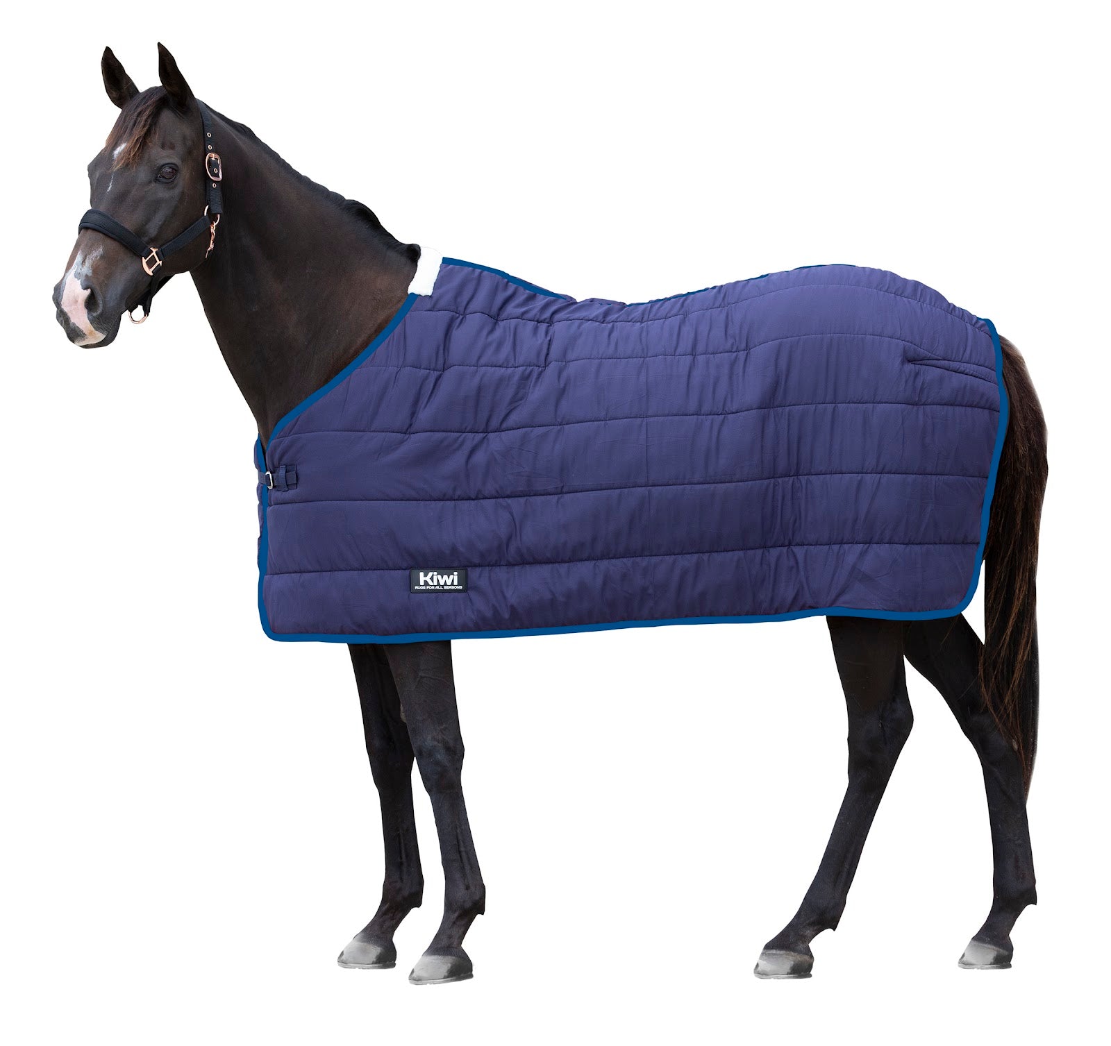Kiwi Under Rug 100g (4.3 Seconds)%