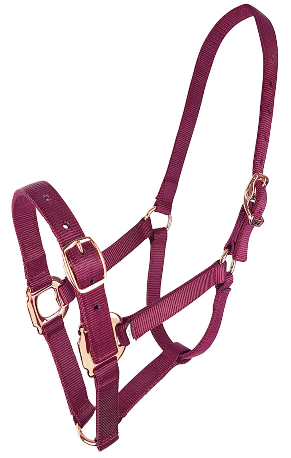 Zilco Abstract Halter