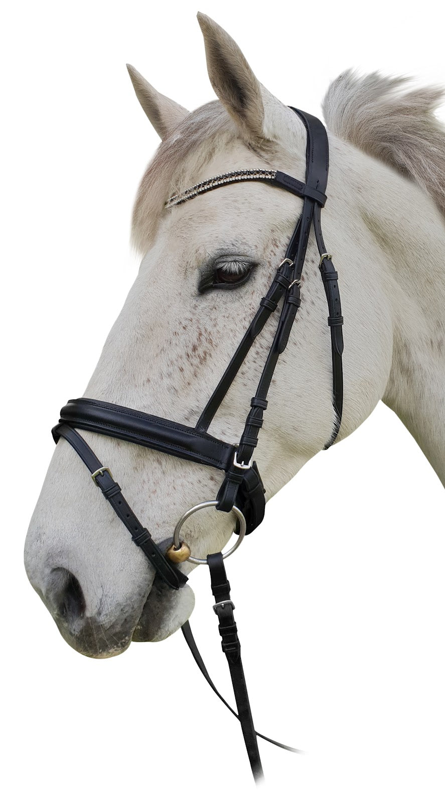 Enzo Amelia Bridle (XFull)%