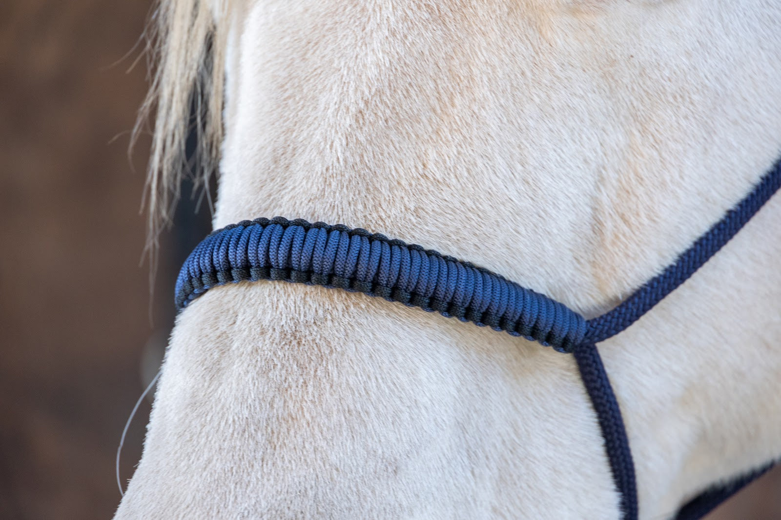Enzo Braided Rope Halter Set