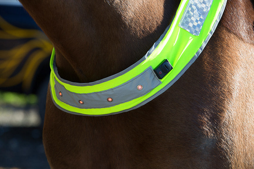 Kiwi Fluro Quarter Sheet (Sml Yel)%