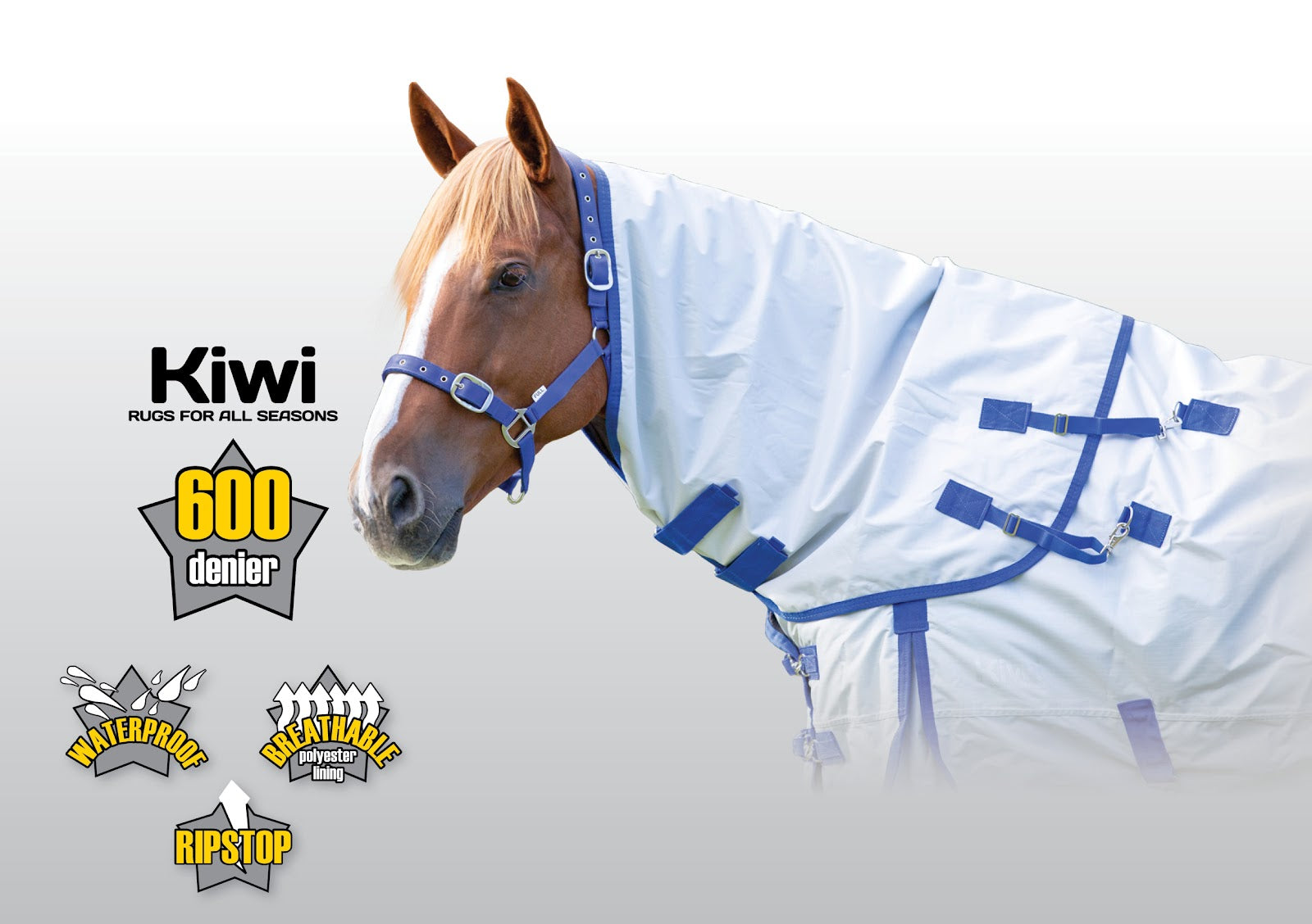 Kiwi 600 Neck Rug 100g%