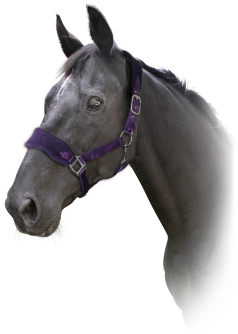 Prima Fleece Halter (Cob Pur) %