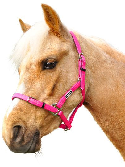 Prima PVC Halter (Pony Black) %