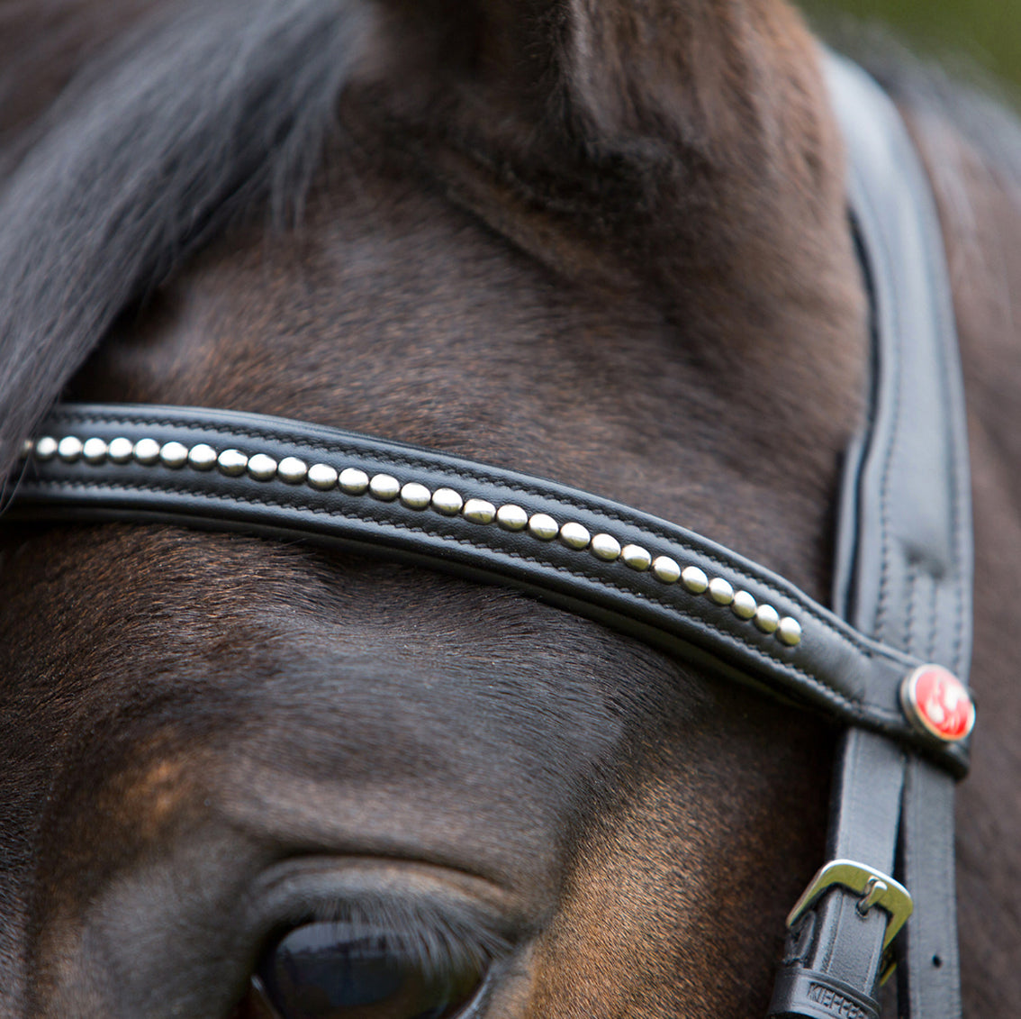 Kieffer Snaffle Bridle Ultrasoft