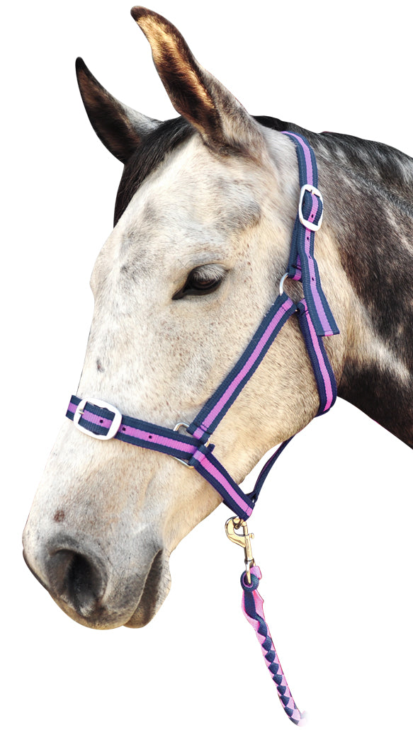 Polyprop Web Halter & Lead(Pony Nav/Pnk%