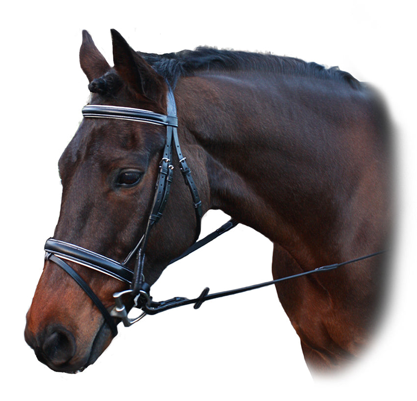 Enzo Rio Bridle (Pony Blk)%