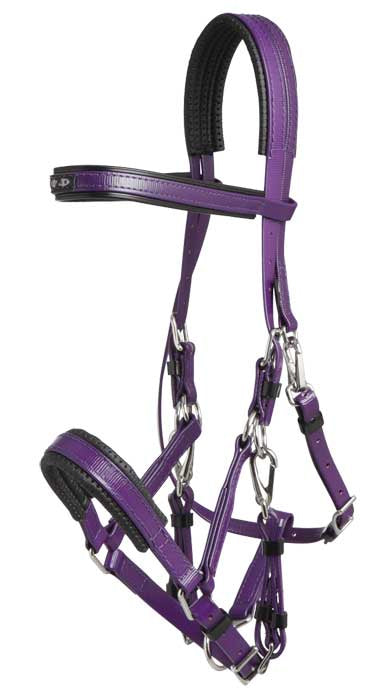 Zilco SS Marathon Bridle