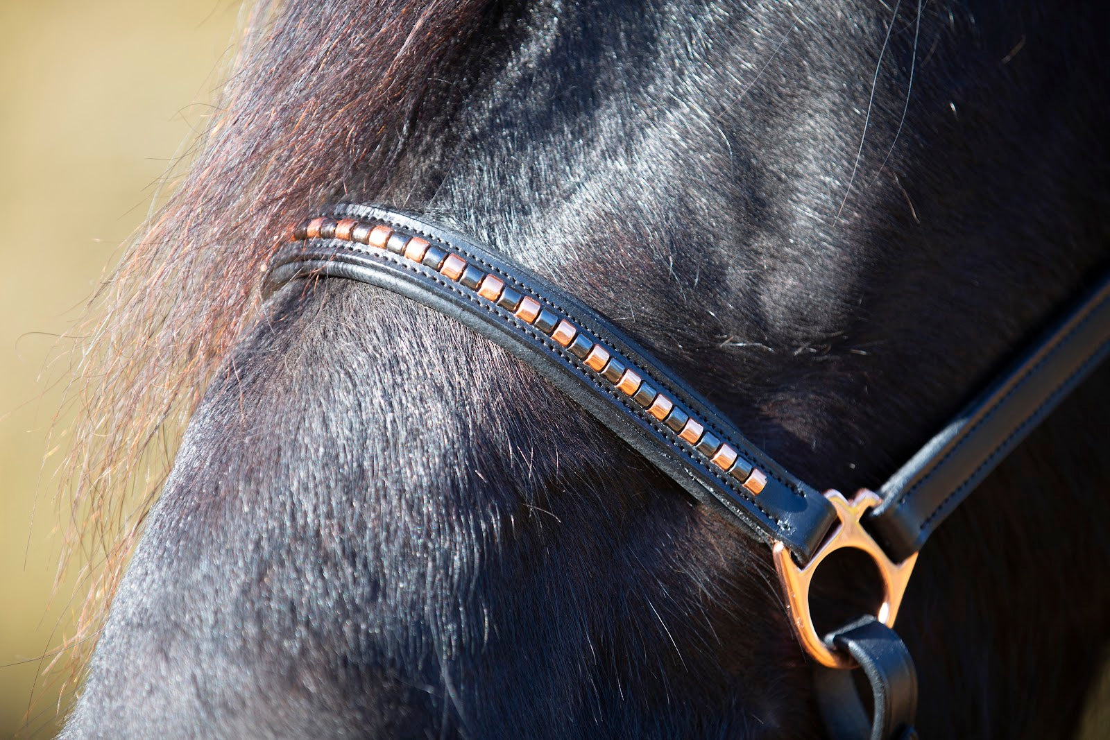 Enzo Amy Rosegold Clincher Halter%