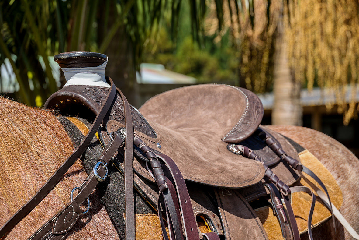 Origin Western Saddle 519 (Light Tan 16)