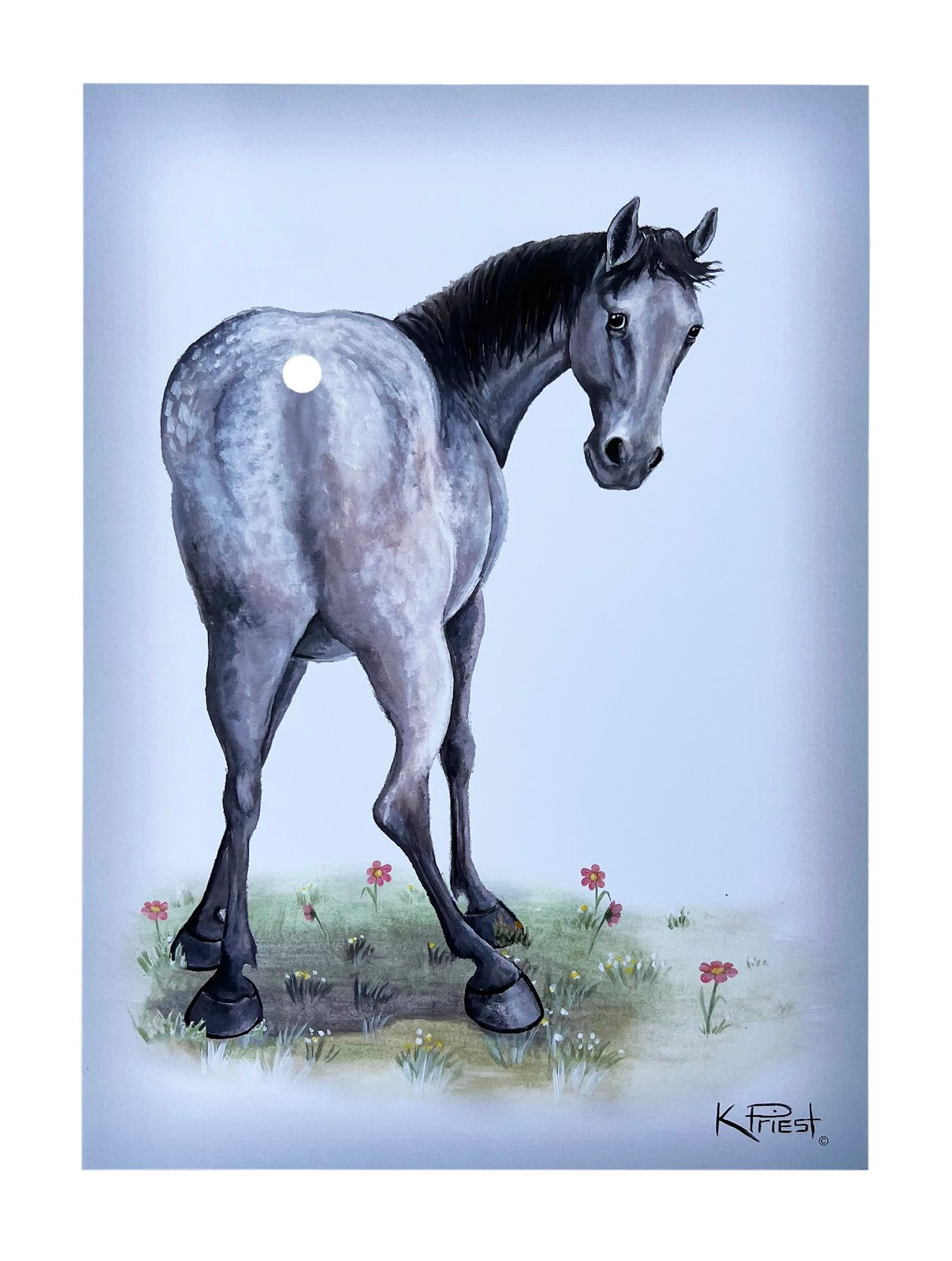 Pony Tail Pictures(Bay Horse)