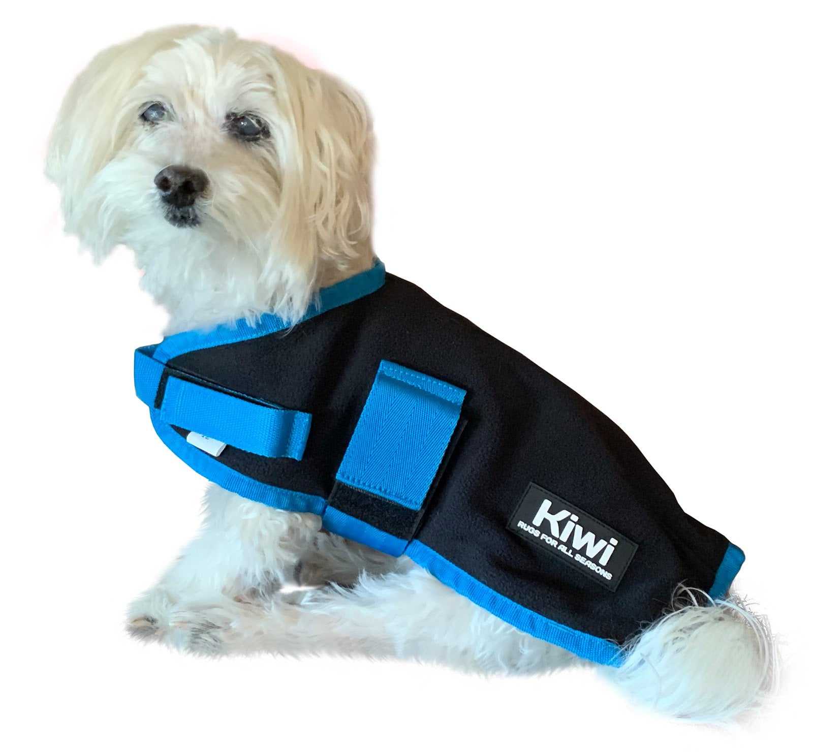 Kiwi Polar Fleece Dog Coat