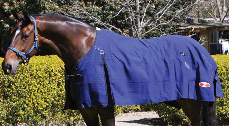Zilco Blue Mountain Canvas Rug