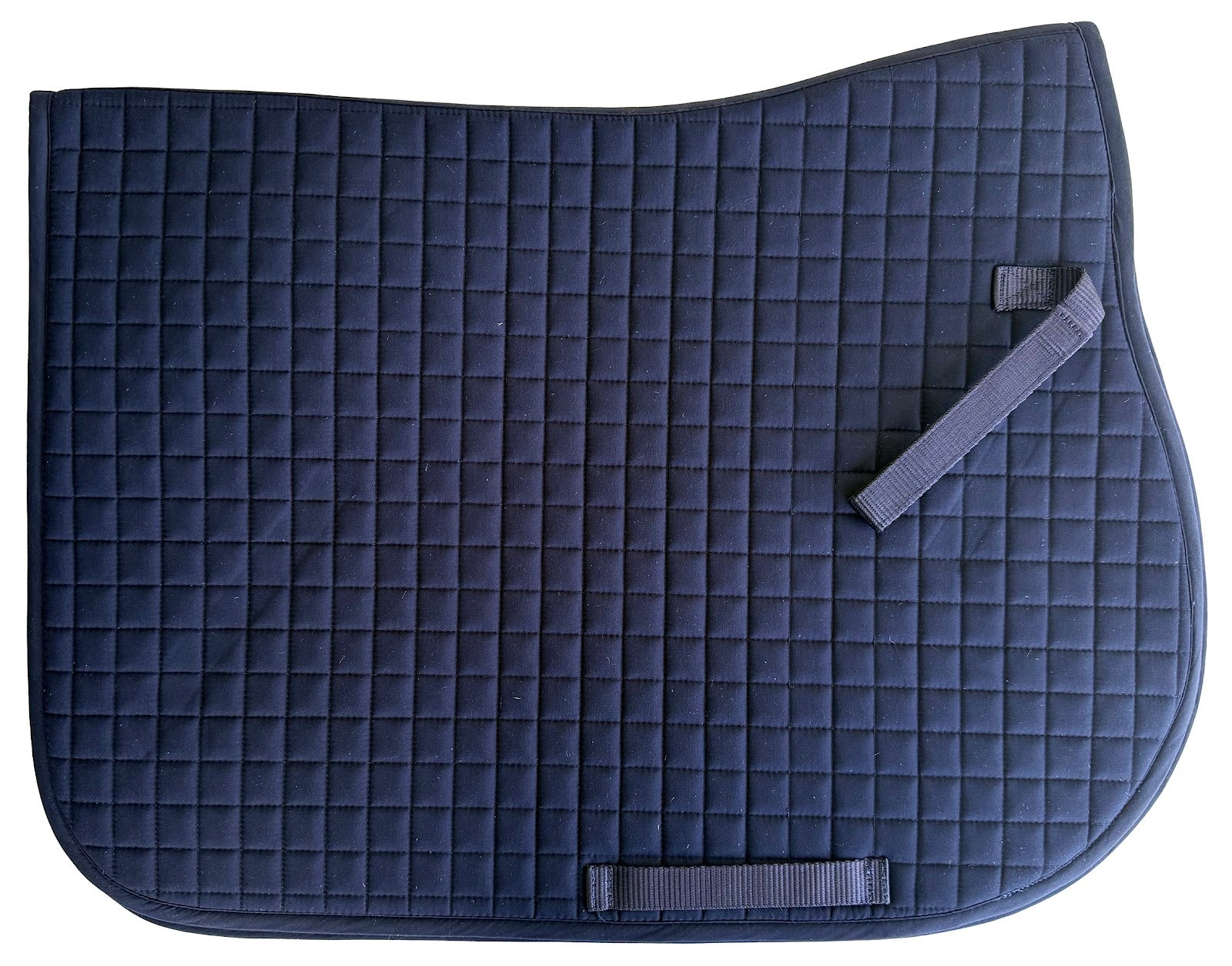 Enzo HorseLife GP SaddlePad